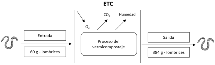 Diagrama

El contenido generado por IA puede ser incorrecto.