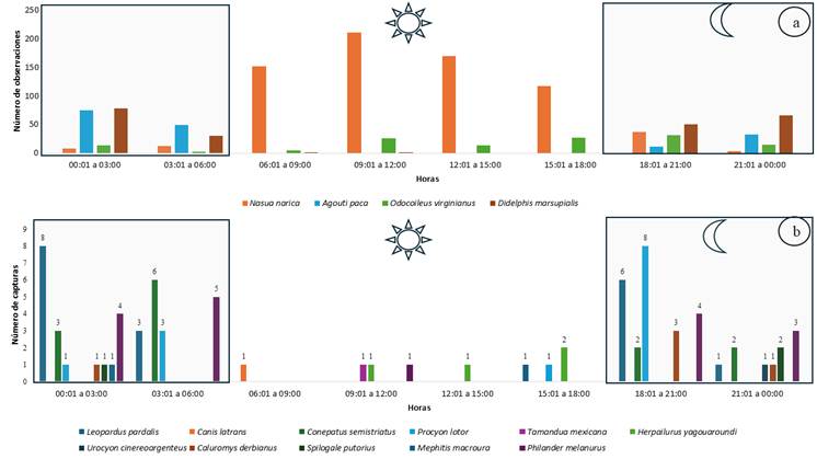 Gráfico, Gráfico de barras

El contenido generado por IA puede ser incorrecto.