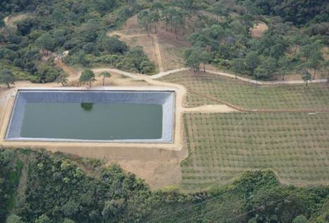 Vista de un área verde

Descripción generada automáticamente con confianza media