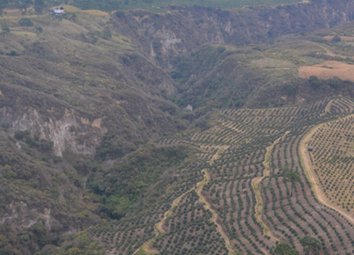 Vista desde lo alto de una montaña

El contenido generado por IA puede ser incorrecto.