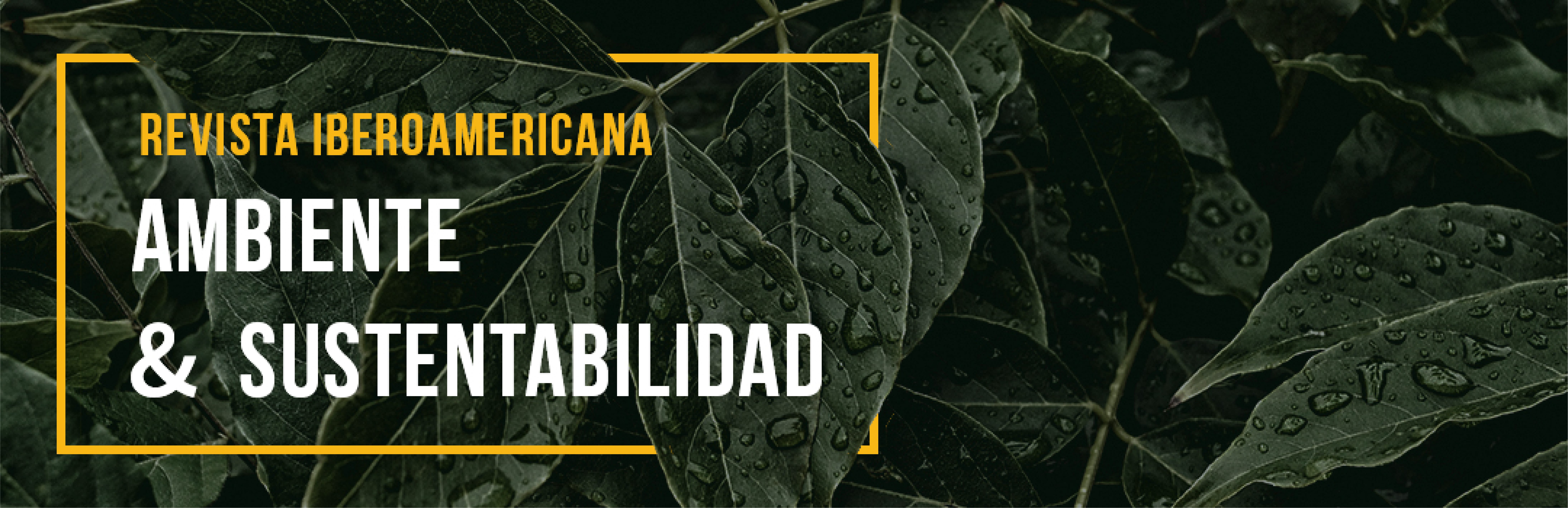 Miniatura Revista Iberoamericana Ambiente & Sustentabilidad